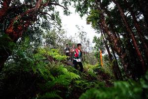 BIB: 
                            <button type="button" onclick="openModal(26204195)" class="btn btn-primary btn-sm float-right btn-popup" data-toggle="modal" data-target=".modal-high-quality">
                        <i class="fas fa-shopping-cart"></i> Add to Cart
                    </button>
                                            <button type="button" onclick="isThisMe(26204195, true)" class="btn btn-success btn-sm float-right btn-popup btn-isme hidden" data-toggle="tooltip" data-placement="bottom" title="นี่คือรูปของคุณใช่ไหม คลิกที่นี่เพื่อเอาเข้าอัลบั้ม">
                        <i class="fas fa-plus"></i> Add to album
                    </button>
                    <button type="button" onclick="isThisMe(26204195, false)" class="btn btn-warning btn-sm float-right btn-popup btn-isnotme hidden">
                        <i class="fas fa-ban"></i> Remove from album
                    </button>